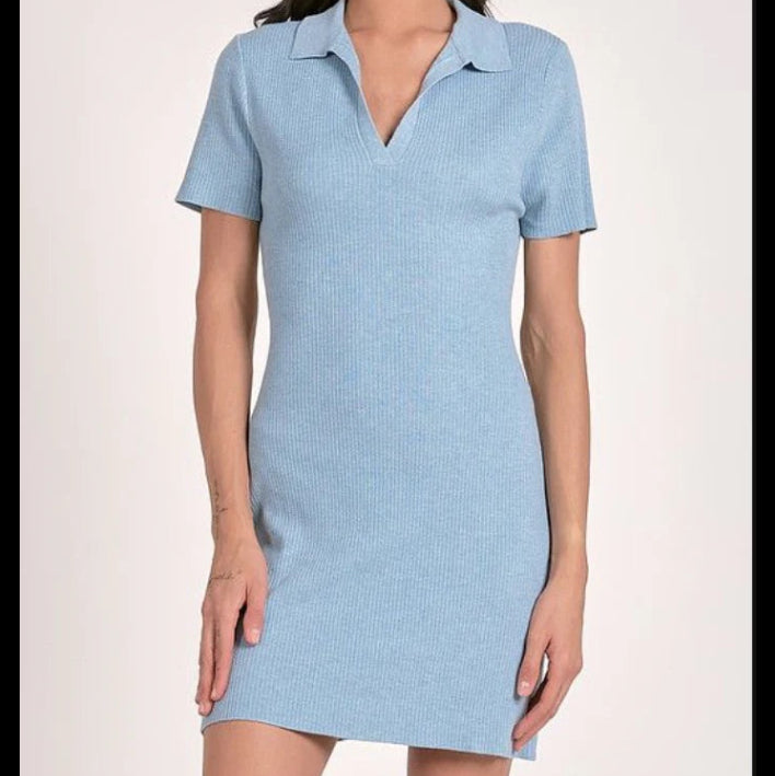 Elan Ribbed Knit Collared Mini Dress