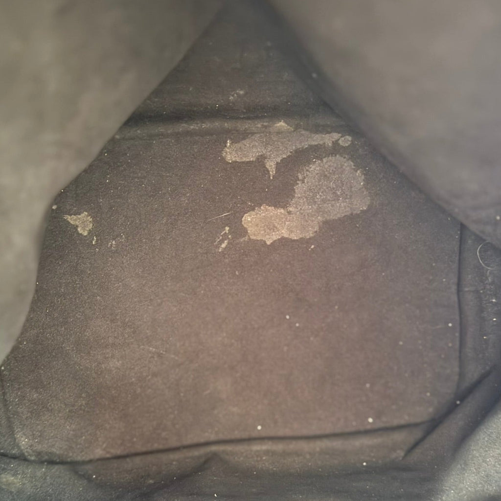 Louis Vuitton Epi Leather Noe Bucket Bag
