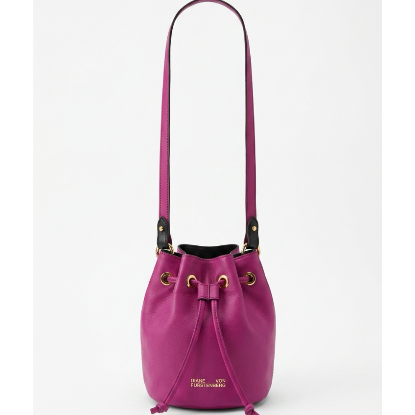 Diane Von Furstenberg Stassi Mini Reversible Leather Bucket Bag