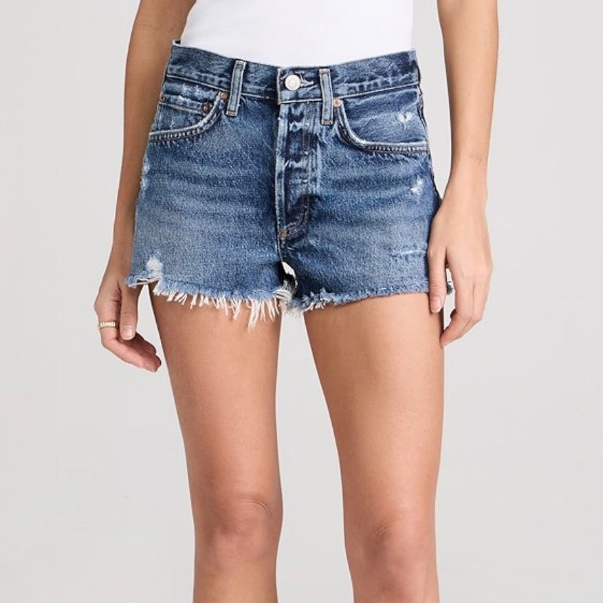 Agolde Size 27 Denim Shorts