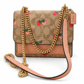 Coach Strawberry Print Leather Chain Crossbody