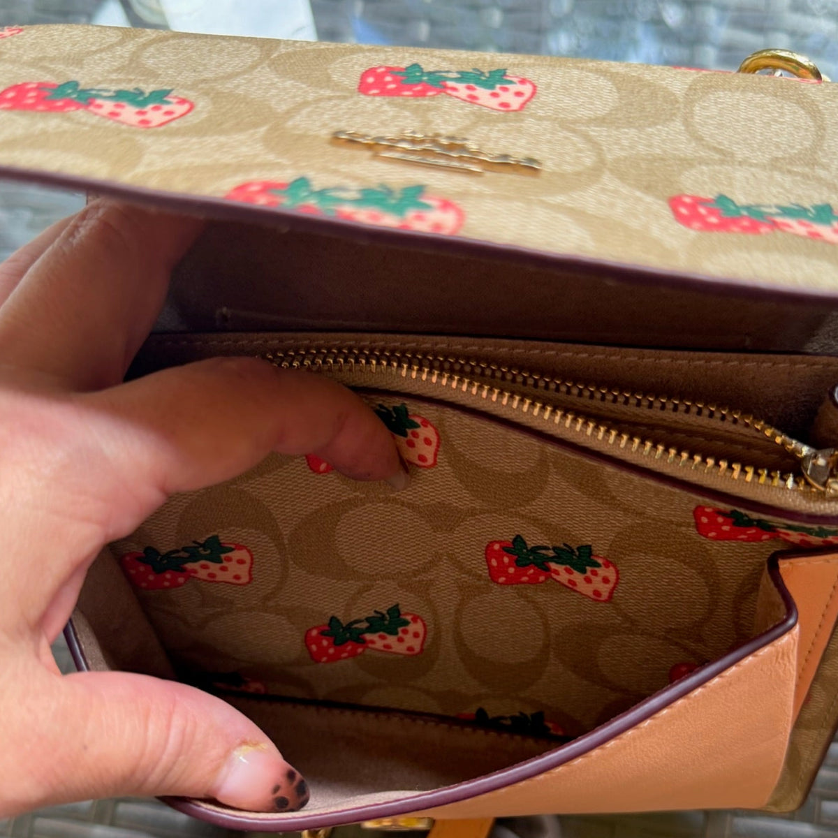Coach Strawberry Print Leather Chain Crossbody